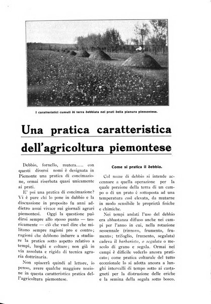 L' Italia agricola giornale di agricoltura