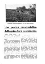 giornale/TO00210416/1915/unico/00000619