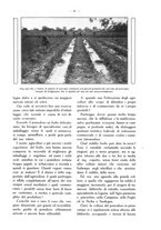 giornale/TO00210416/1915/unico/00000673