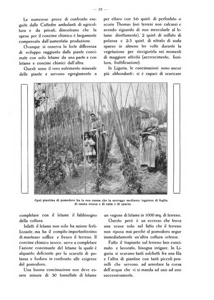 L' Italia agricola giornale di agricoltura