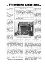 giornale/TO00210416/1915/unico/00000684