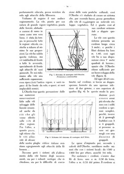 L' Italia agricola giornale di agricoltura