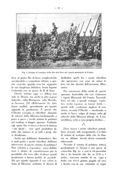 L' Italia agricola giornale di agricoltura