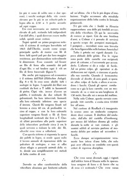 L' Italia agricola giornale di agricoltura