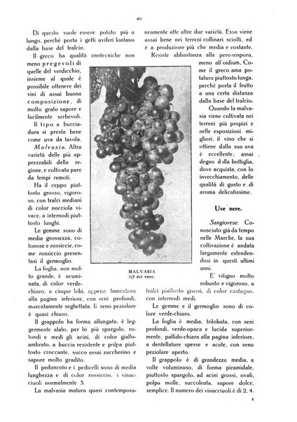 L' Italia agricola giornale di agricoltura