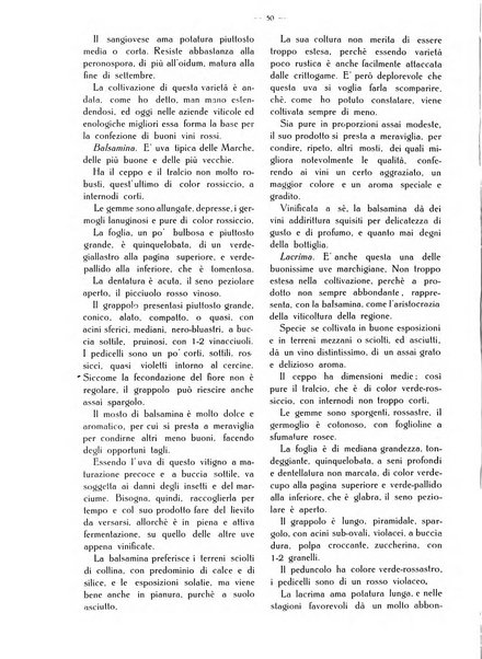 L' Italia agricola giornale di agricoltura