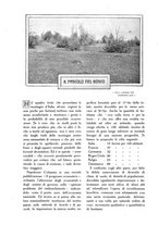 giornale/TO00210416/1915/unico/00000708