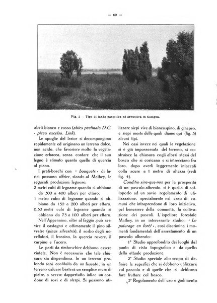 L' Italia agricola giornale di agricoltura