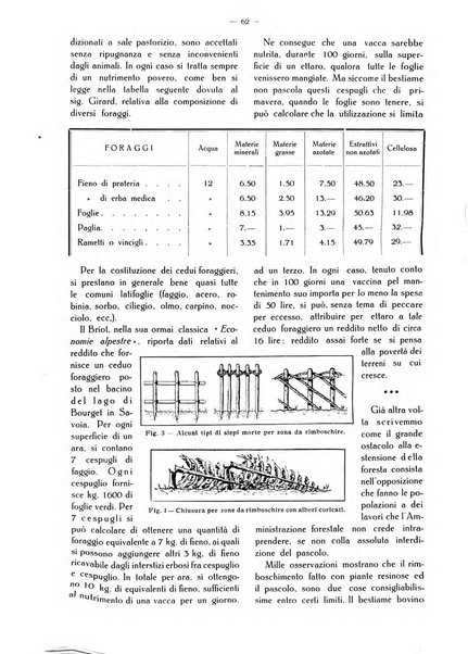 L' Italia agricola giornale di agricoltura