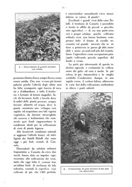 L' Italia agricola giornale di agricoltura