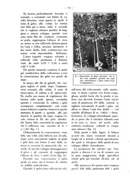 L' Italia agricola giornale di agricoltura