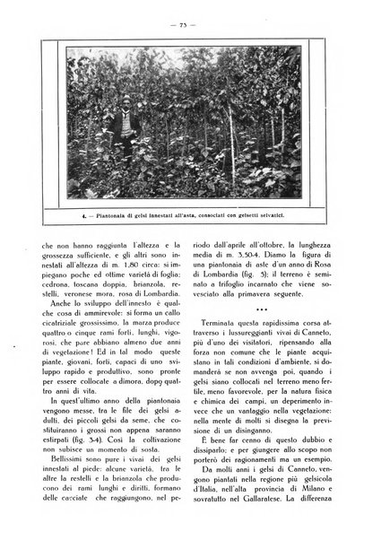 L' Italia agricola giornale di agricoltura