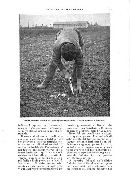 L' Italia agricola giornale di agricoltura