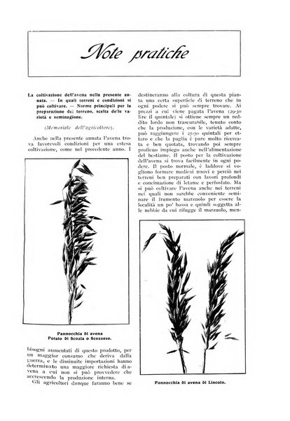 L' Italia agricola giornale di agricoltura