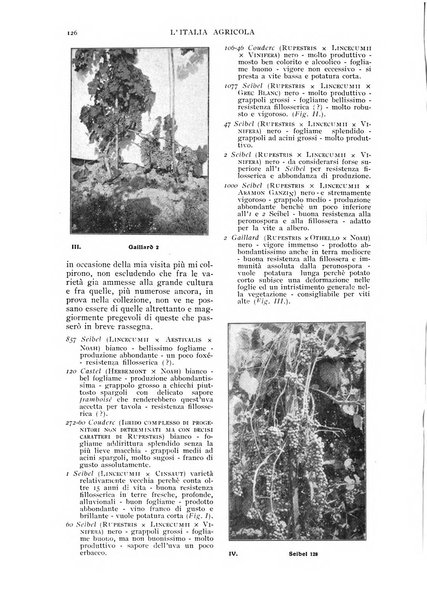 L' Italia agricola giornale di agricoltura