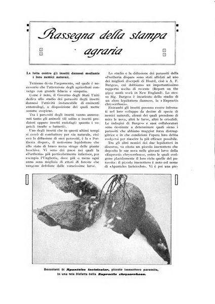 L' Italia agricola giornale di agricoltura