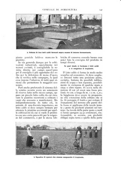 L' Italia agricola giornale di agricoltura