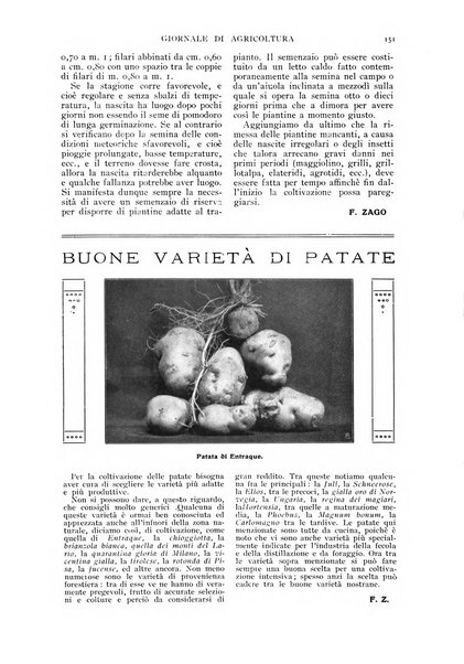 L' Italia agricola giornale di agricoltura