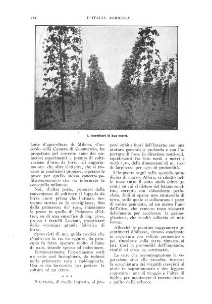 L' Italia agricola giornale di agricoltura