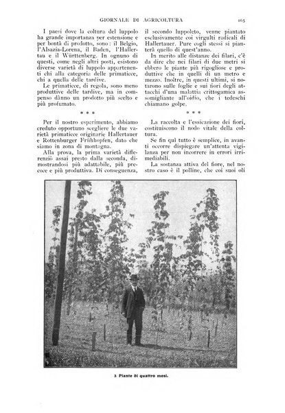 L' Italia agricola giornale di agricoltura