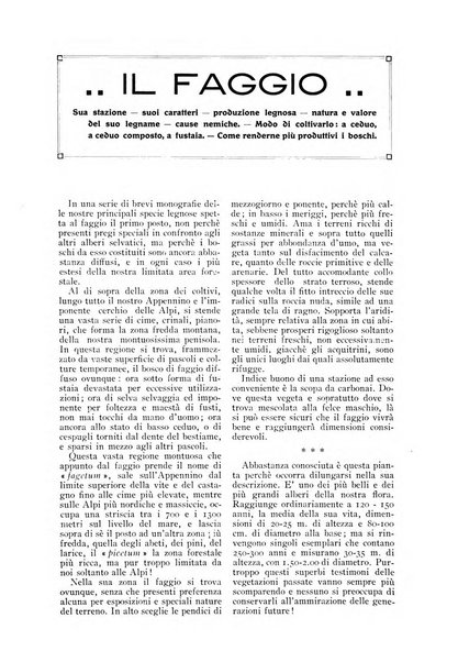 L' Italia agricola giornale di agricoltura