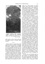 giornale/TO00210416/1916/unico/00000239