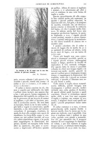 L' Italia agricola giornale di agricoltura