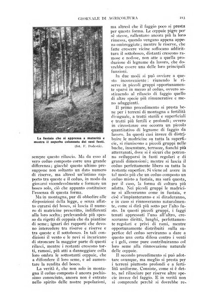 L' Italia agricola giornale di agricoltura