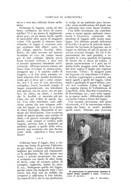 L' Italia agricola giornale di agricoltura