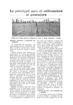 giornale/TO00210416/1916/unico/00000263