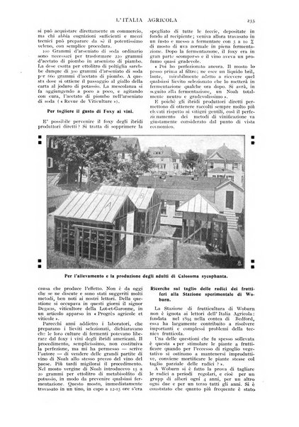 L' Italia agricola giornale di agricoltura