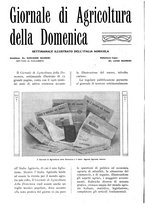 giornale/TO00210416/1916/unico/00000296