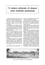 giornale/TO00210416/1916/unico/00000306