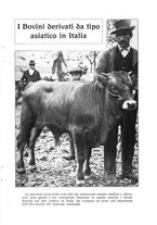 giornale/TO00210416/1916/unico/00000319