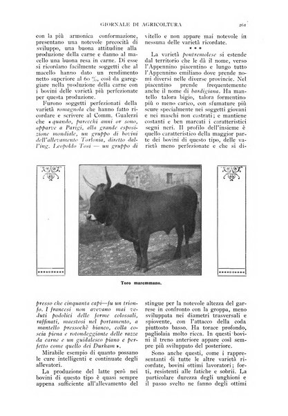 L' Italia agricola giornale di agricoltura