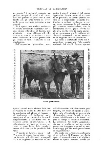 L' Italia agricola giornale di agricoltura