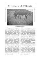 giornale/TO00210416/1916/unico/00000367