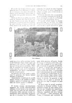 giornale/TO00210416/1916/unico/00000371