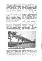 giornale/TO00210416/1916/unico/00000388