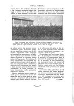 giornale/TO00210416/1916/unico/00000390