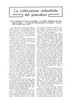 giornale/TO00210416/1916/unico/00000435