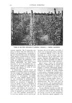 giornale/TO00210416/1916/unico/00000436