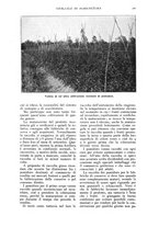 giornale/TO00210416/1916/unico/00000437