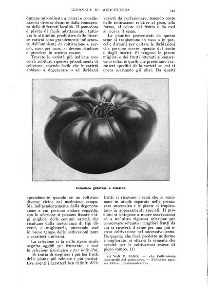 L' Italia agricola giornale di agricoltura