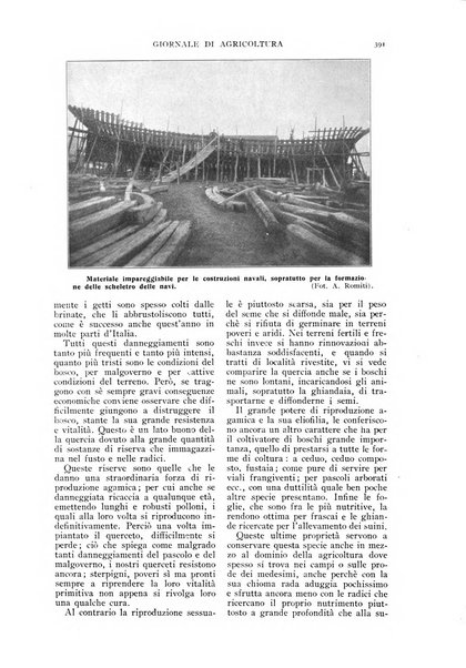 L' Italia agricola giornale di agricoltura