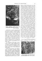 giornale/TO00210416/1916/unico/00000513