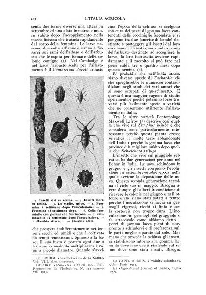 L' Italia agricola giornale di agricoltura