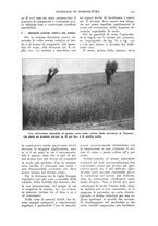 giornale/TO00210416/1916/unico/00000533