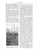 giornale/TO00210416/1916/unico/00000570