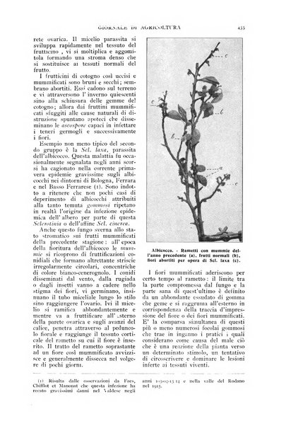 L' Italia agricola giornale di agricoltura